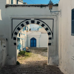 Les 6 quartiers incontournables à visiter à Tunis. 20 sidi bou said
