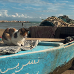 Les 6 quartiers incontournables à visiter à Tunis. 48
