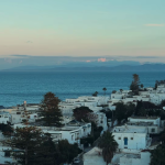 Les 6 quartiers incontournables à visiter à Tunis. 52