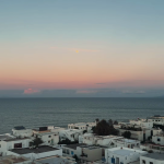 Les 6 quartiers incontournables à visiter à Tunis. 54